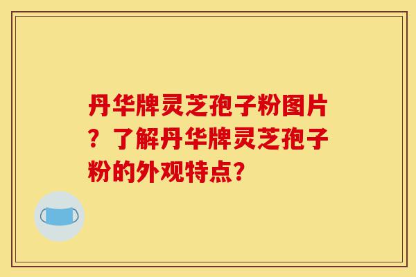 丹华牌灵芝孢子粉图片?了解丹华牌灵芝孢子粉的外观特点?-第1张图片-灵芝之家 丹华牌灵芝孢子粉图片?了解丹华牌灵芝孢子粉的外观特点?-第1张图片-灵芝之家
