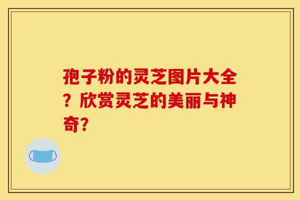 孢子粉的灵芝图片大全?欣赏灵芝的美丽与神奇?-第1张图片-灵芝之家 孢子粉的灵芝图片大全?欣赏灵芝的美丽与神奇?-第1张图片-灵芝之家