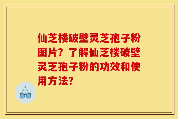 仙芝楼破壁灵芝孢子粉图片？了解仙芝楼破壁灵芝孢子粉的功效和使用方法？-第1张图片-灵芝之家