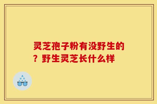 灵芝孢子粉有没野生的?野生灵芝长什么样-第1张图片-灵芝之家 灵芝孢子粉有没野生的?野生灵芝长什么样-第1张图片-灵芝之家