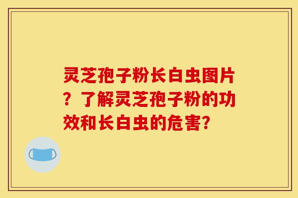 灵芝孢子粉长白虫图片?了解灵芝孢子粉的功效和长白虫的危害?-第1张图片-灵芝之家 灵芝孢子粉长白虫图片?了解灵芝孢子粉的功效和长白虫的危害?-第1张图片-灵芝之家