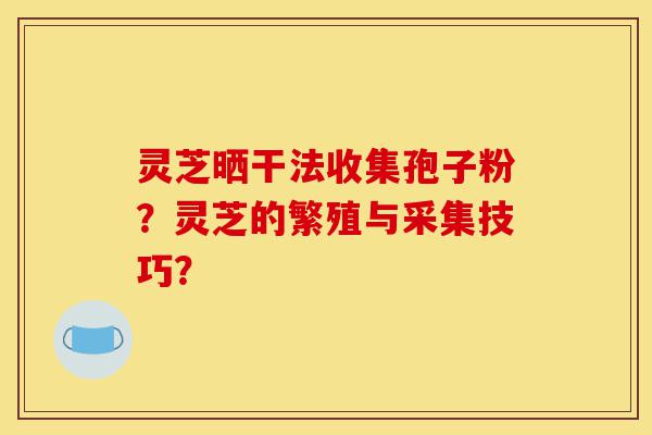 灵芝晒干法收集孢子粉?灵芝的繁殖与采集技巧?-第1张图片-灵芝之家 灵芝晒干法收集孢子粉?灵芝的繁殖与采集技巧?-第1张图片-灵芝之家