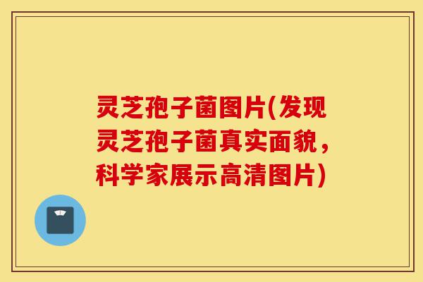 灵芝孢子菌图片(发现灵芝孢子菌真实面貌，科学家展示高清图片)-第1张图片-灵芝之家