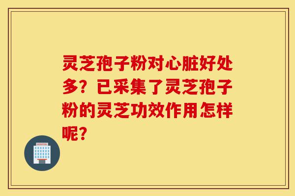 灵芝孢子粉对心脏好处多?已采集了灵芝孢子粉的灵芝功效作用怎样呢?-第1张图片-灵芝之家 灵芝孢子粉对心脏好处多?已采集了灵芝孢子粉的灵芝功效作用怎样呢?-第1张图片-灵芝之家