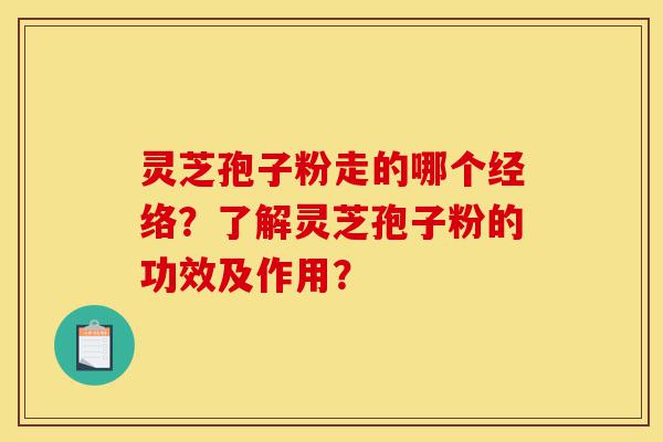 灵芝孢子粉走的哪个经络?了解灵芝孢子粉的功效及作用?-第1张图片-灵芝之家 灵芝孢子粉走的哪个经络?了解灵芝孢子粉的功效及作用?-第1张图片-灵芝之家