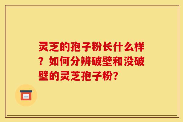 灵芝的孢子粉长什么样？如何分辨破壁和没破壁的灵芝孢子粉？-第1张图片-灵芝之家
