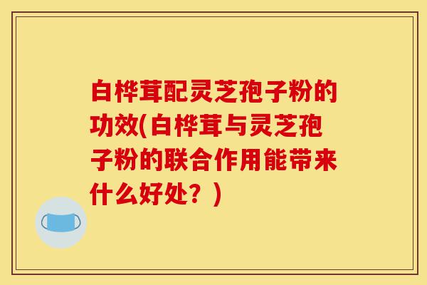 白桦茸配灵芝孢子粉的功效(白桦茸与灵芝孢子粉的联合作用能带来什么好处?)-第1张图片-灵芝之家 白桦茸配灵芝孢子粉的功效(白桦茸与灵芝孢子粉的联合作用能带来什么好处?)-第1张图片-灵芝之家