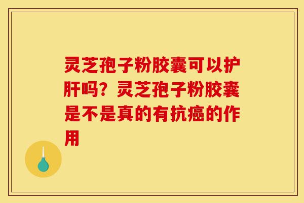 灵芝孢子粉胶囊可以护肝吗？灵芝孢子粉胶囊是不是真的有抗癌的作用-第1张图片-灵芝之家