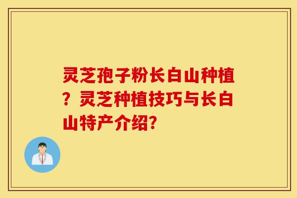 灵芝孢子粉长白山种植?灵芝种植技巧与长白山特产介绍?-第1张图片-灵芝之家 灵芝孢子粉长白山种植?灵芝种植技巧与长白山特产介绍?-第1张图片-灵芝之家