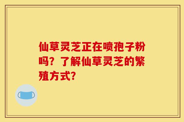 仙草灵芝正在喷孢子粉吗?了解仙草灵芝的繁殖方式?-第1张图片-灵芝之家 仙草灵芝正在喷孢子粉吗?了解仙草灵芝的繁殖方式?-第1张图片-灵芝之家