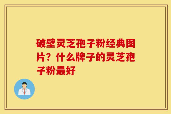破壁灵芝孢子粉经典图片？什么牌子的灵芝孢子粉最好-第1张图片-灵芝之家