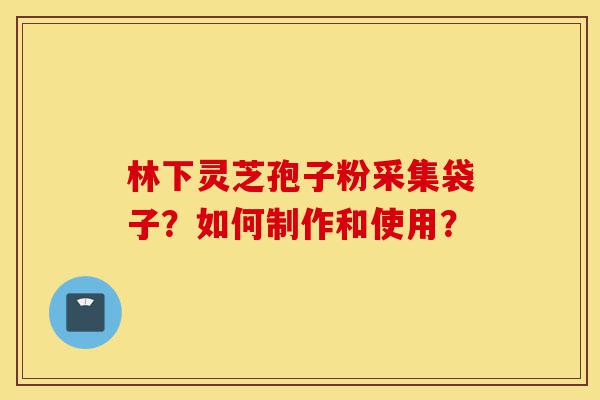 林下灵芝孢子粉采集袋子?如何制作和使用?-第1张图片-灵芝之家 林下灵芝孢子粉采集袋子?如何制作和使用?-第1张图片-灵芝之家