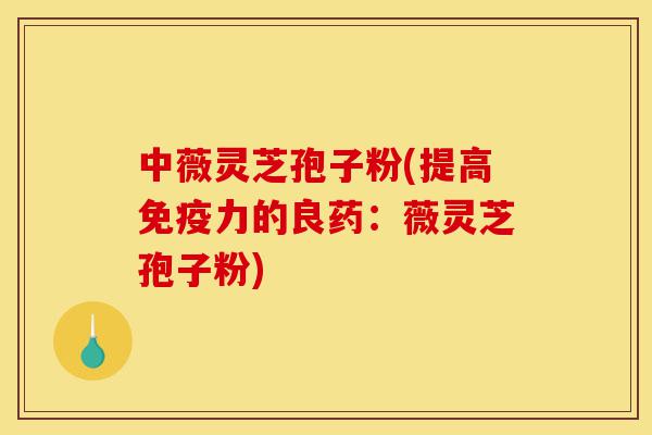 中薇灵芝孢子粉(提高免疫力的良药：薇灵芝孢子粉)-第1张图片-灵芝之家