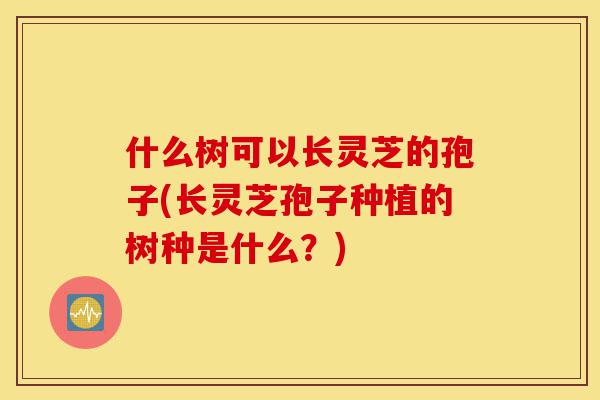 什么树可以长灵芝的孢子(长灵芝孢子种植的树种是什么?)-第1张图片-灵芝之家 什么树可以长灵芝的孢子(长灵芝孢子种植的树种是什么?)-第1张图片-灵芝之家