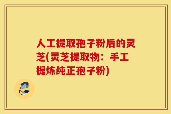 人工提取孢子粉后的灵芝(灵芝提取物:手工提炼纯正孢子粉)-第1张图片-灵芝之家 人工提取孢子粉后的灵芝(灵芝提取物:手工提炼纯正孢子粉)-第1张图片-灵芝之家