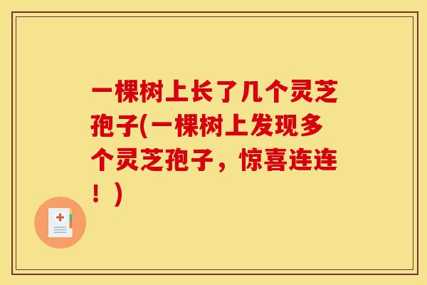 一棵树上长了几个灵芝孢子(一棵树上发现多个灵芝孢子,惊喜连连!)-第1张图片-灵芝之家 一棵树上长了几个灵芝孢子(一棵树上发现多个灵芝孢子,惊喜连连!)-第1张图片-灵芝之家