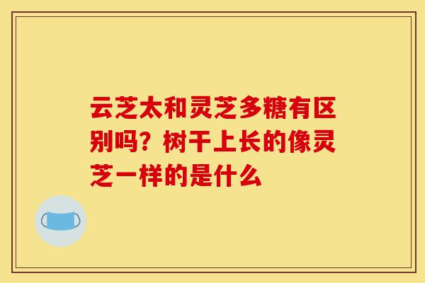 云芝太和灵芝多糖有区别吗?树干上长的像灵芝一样的是什么-第1张图片-灵芝之家 云芝太和灵芝多糖有区别吗?树干上长的像灵芝一样的是什么-第1张图片-灵芝之家
