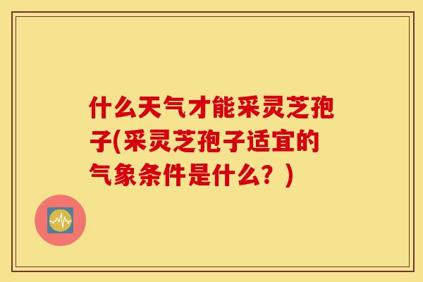什么天气才能采灵芝孢子(采灵芝孢子适宜的气象条件是什么?)-第1张图片-灵芝之家 什么天气才能采灵芝孢子(采灵芝孢子适宜的气象条件是什么?)-第1张图片-灵芝之家