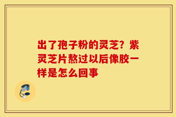 出了孢子粉的灵芝？紫灵芝片熬过以后像胶一样是怎么回事-第1张图片-灵芝之家