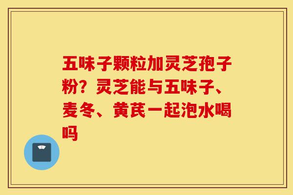 五味子颗粒加灵芝孢子粉？灵芝能与五味子、麦冬、黄芪一起泡水喝吗-第1张图片-灵芝之家