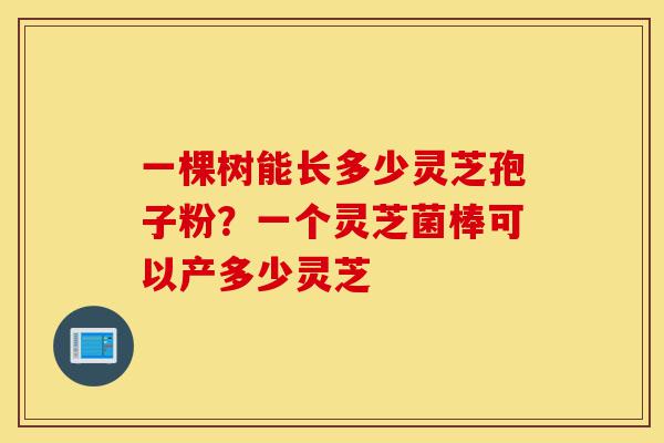 一棵树能长多少灵芝孢子粉?一个灵芝菌棒可以产多少灵芝-第1张图片-灵芝之家 一棵树能长多少灵芝孢子粉?一个灵芝菌棒可以产多少灵芝-第1张图片-灵芝之家