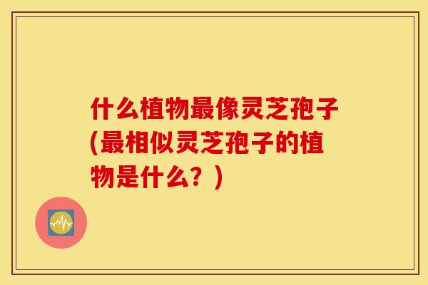 什么植物最像灵芝孢子(最相似灵芝孢子的植物是什么?)-第1张图片-灵芝之家 什么植物最像灵芝孢子(最相似灵芝孢子的植物是什么?)-第1张图片-灵芝之家