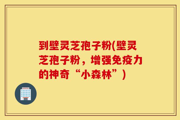 到壁灵芝孢子粉(壁灵芝孢子粉,增强免疫力的神奇“小森林”)-第1张图片-灵芝之家 到壁灵芝孢子粉(壁灵芝孢子粉,增强免疫力的神奇“小森林”)-第1张图片-灵芝之家