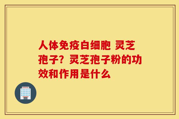 人体免疫白细胞 灵芝孢子?灵芝孢子粉的功效和作用是什么-第1张图片-灵芝之家 人体免疫白细胞 灵芝孢子?灵芝孢子粉的功效和作用是什么-第1张图片-灵芝之家