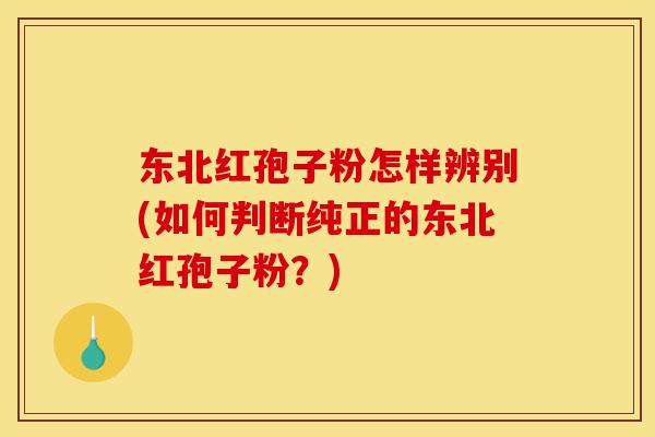 东北红孢子粉怎样辨别(如何判断纯正的东北红孢子粉?)-第1张图片-灵芝之家 东北红孢子粉怎样辨别(如何判断纯正的东北红孢子粉?)-第1张图片-灵芝之家