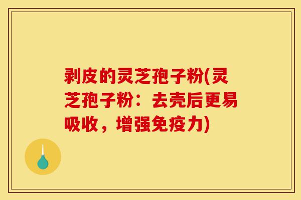 剥皮的灵芝孢子粉(灵芝孢子粉：去壳后更易吸收，增强免疫力)-第1张图片-灵芝之家