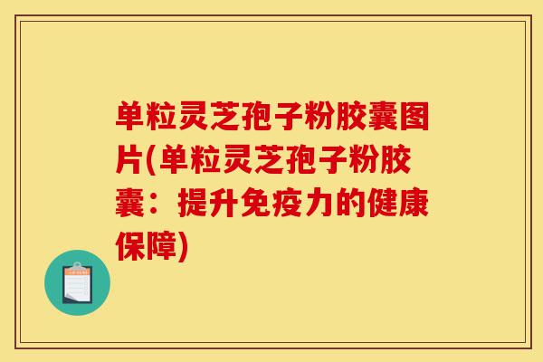 单粒灵芝孢子粉胶囊图片(单粒灵芝孢子粉胶囊:提升免疫力的健康保障)-第1张图片-灵芝之家 单粒灵芝孢子粉胶囊图片(单粒灵芝孢子粉胶囊:提升免疫力的健康保障)-第1张图片-灵芝之家
