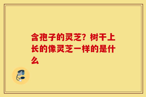 含孢子的灵芝?树干上长的像灵芝一样的是什么-第1张图片-灵芝之家 含孢子的灵芝?树干上长的像灵芝一样的是什么-第1张图片-灵芝之家