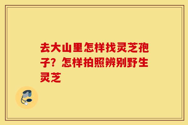 去大山里怎样找灵芝孢子?怎样拍照辨别野生灵芝-第1张图片-灵芝之家 去大山里怎样找灵芝孢子?怎样拍照辨别野生灵芝-第1张图片-灵芝之家