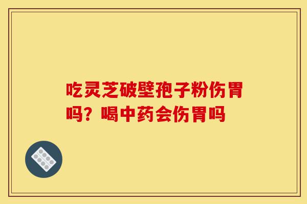 吃灵芝破壁孢子粉伤胃吗？喝中药会伤胃吗-第1张图片-灵芝之家