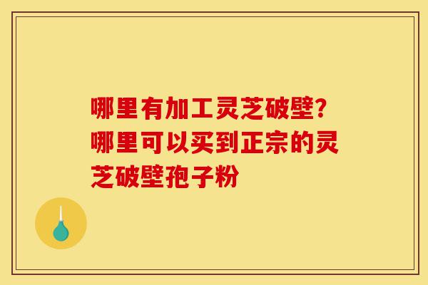 哪里有加工灵芝破壁?哪里可以买到正宗的灵芝破壁孢子粉-第1张图片-灵芝之家 哪里有加工灵芝破壁?哪里可以买到正宗的灵芝破壁孢子粉-第1张图片-灵芝之家