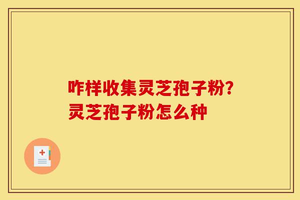 咋样收集灵芝孢子粉?灵芝孢子粉怎么种-第1张图片-灵芝之家 咋样收集灵芝孢子粉?灵芝孢子粉怎么种-第1张图片-灵芝之家