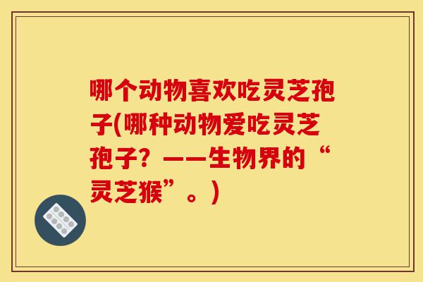 哪个动物喜欢吃灵芝孢子(哪种动物爱吃灵芝孢子?——生物界的“灵芝猴”。)-第1张图片-灵芝之家 哪个动物喜欢吃灵芝孢子(哪种动物爱吃灵芝孢子?——生物界的“灵芝猴”。)-第1张图片-灵芝之家