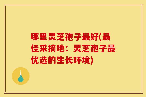 哪里灵芝孢子最好(最佳采摘地:灵芝孢子最优选的生长环境)-第1张图片-灵芝之家 哪里灵芝孢子最好(最佳采摘地:灵芝孢子最优选的生长环境)-第1张图片-灵芝之家