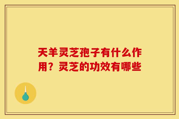 天羊灵芝孢子有什么作用？灵芝的功效有哪些-第1张图片-灵芝之家