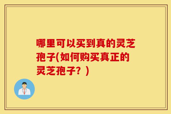 哪里可以买到真的灵芝孢子(如何购买真正的灵芝孢子?)-第1张图片-灵芝之家 哪里可以买到真的灵芝孢子(如何购买真正的灵芝孢子?)-第1张图片-灵芝之家