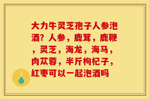 大力牛灵芝孢子人参泡酒?人参,鹿茸,鹿鞭,灵芝,海龙,海马,肉苁蓉,半斤枸杞子,红枣可以一起泡酒吗-第1张图片-灵芝之家 大力牛灵芝孢子人参泡酒?人参,鹿茸,鹿鞭,灵芝,海龙,海马,肉苁蓉,半斤枸杞子,红枣可以一起泡酒吗-第1张图片-灵芝之家
