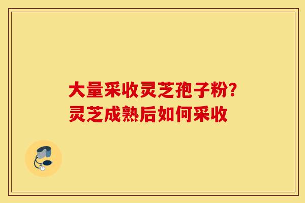 大量采收灵芝孢子粉?灵芝成熟后如何采收-第1张图片-灵芝之家 大量采收灵芝孢子粉?灵芝成熟后如何采收-第1张图片-灵芝之家