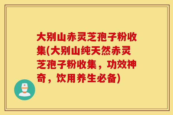 大别山赤灵芝孢子粉收集(大别山纯天然赤灵芝孢子粉收集，功效神奇，饮用养生必备)-第1张图片-灵芝之家