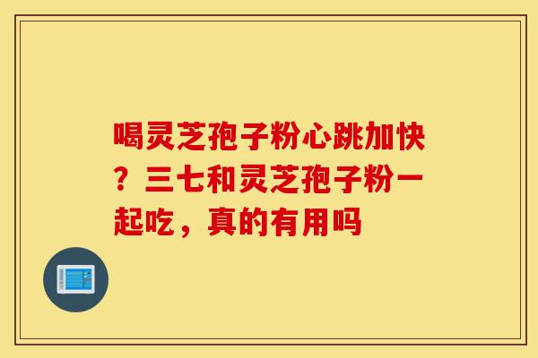 喝灵芝孢子粉心跳加快？三七和灵芝孢子粉一起吃，真的有用吗-第1张图片-灵芝之家