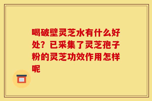 喝破壁灵芝水有什么好处?已采集了灵芝孢子粉的灵芝功效作用怎样呢-第1张图片-灵芝之家 喝破壁灵芝水有什么好处?已采集了灵芝孢子粉的灵芝功效作用怎样呢-第1张图片-灵芝之家