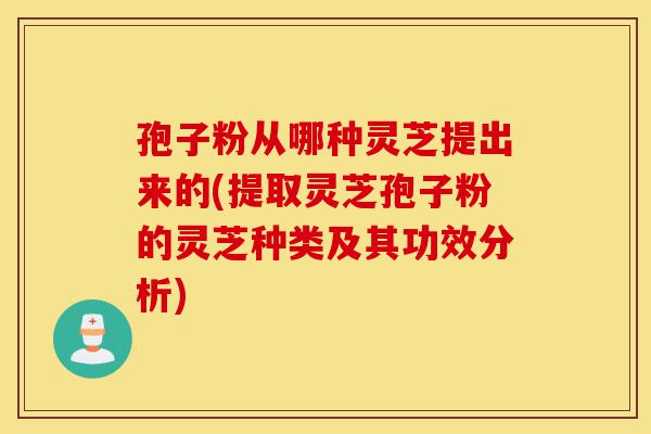 孢子粉从哪种灵芝提出来的(提取灵芝孢子粉的灵芝种类及其功效分析)-第1张图片-灵芝之家