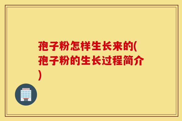孢子粉怎样生长来的(孢子粉的生长过程简介)-第1张图片-灵芝之家 孢子粉怎样生长来的(孢子粉的生长过程简介)-第1张图片-灵芝之家