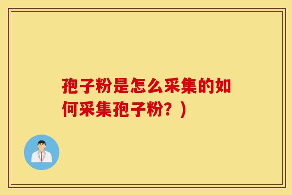 孢子粉是怎么采集的如何采集孢子粉?)-第1张图片-灵芝之家 孢子粉是怎么采集的如何采集孢子粉?)-第1张图片-灵芝之家