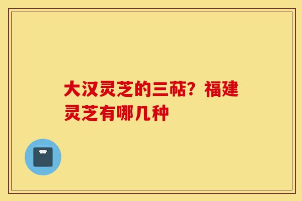 大汉灵芝的三萜?福建灵芝有哪几种-第1张图片-灵芝之家 大汉灵芝的三萜?福建灵芝有哪几种-第1张图片-灵芝之家