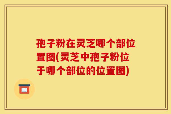孢子粉在灵芝哪个部位置图(灵芝中孢子粉位于哪个部位的位置图)-第1张图片-灵芝之家 孢子粉在灵芝哪个部位置图(灵芝中孢子粉位于哪个部位的位置图)-第1张图片-灵芝之家